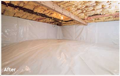 Mountain CrawlSpaces