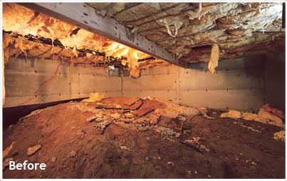 Mountain CrawlSpaces